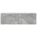 Oglindă TV montată pe perete Gri Beton 98 x 31 x 30 cm - WALTI WALTI