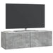 Oglindă TV montată pe perete Gri Beton 98 x 31 x 30 cm - WALTI WALTI