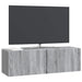 Oglindă TV montată pe perete Sonoma gri 98 x 31 x 30 cm - WALTI WALTI