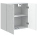 Dulap montat pe perete Alb 59 x 31 x 60 cm Lemn prelucrat - WALTI WALTI