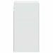 Dulap montat pe perete Alb 59 x 31 x 60 cm Lemn prelucrat - WALTI WALTI