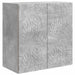 Dulap montat pe perete Gri Beton 59 x 31 x 60 cm Lemn prelucrat - WALTI WALTI