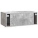 Oglindă TV montată pe perete 59,5 x 41 x 30 cm Gri Beton - WALTI WALTI