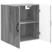 Dulap montat pe perete Sonoma gri 59 x 31 x 60 cm - WALTI WALTI