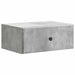 Dulap de noapte suspendat 2 pcs Gri Beton 49 x 34,5 x 20 cm - WALTI WALTI