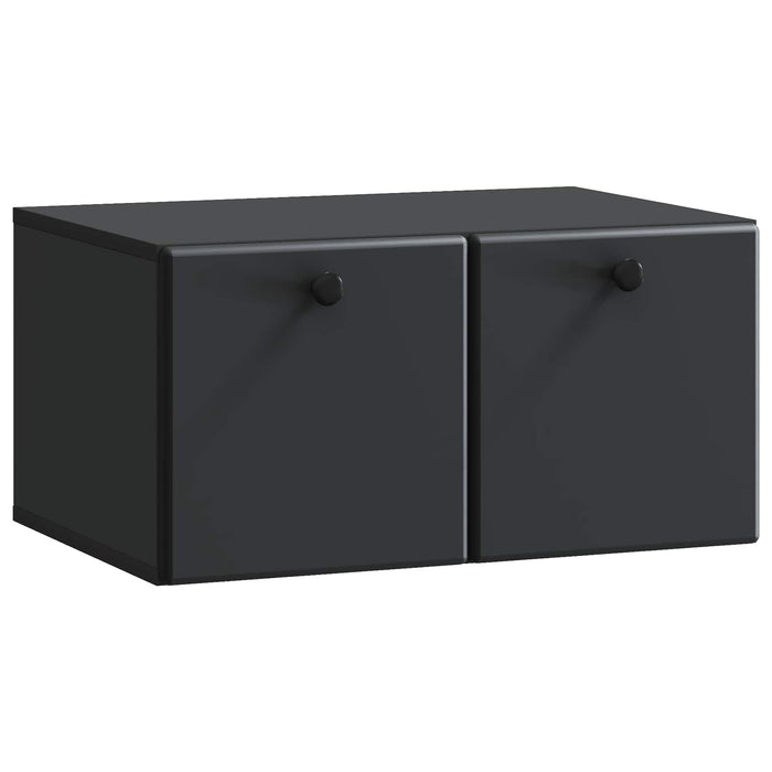 Oglindă TV montată pe perete Pe perete Negru 59,5 x 41 x 30 cm - WALTI WALTI