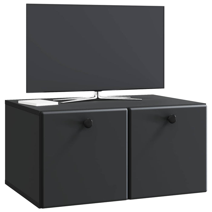 Oglindă TV montată pe perete Pe perete Negru 59,5 x 41 x 30 cm - WALTI WALTI