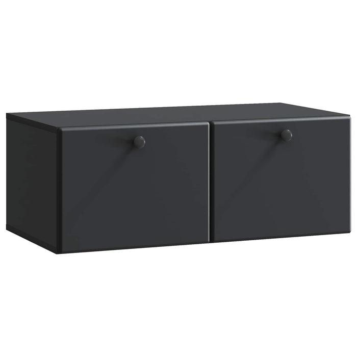 Oglindă TV montată pe perete Pe perete Negru 78,5 x 41 x 30 cm - WALTI WALTI