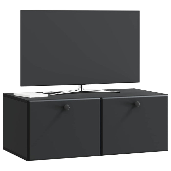 Oglindă TV montată pe perete Pe perete Negru 78,5 x 41 x 30 cm - WALTI WALTI