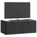 Oglindă TV montată pe perete Pe perete Negru 78,5 x 41 x 30 cm - WALTI WALTI