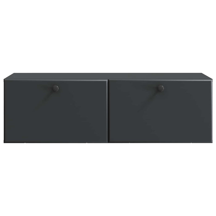 Oglindă TV montată pe perete Pe perete Negru 98 x 41 x 30 cm - WALTI WALTI