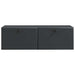 Oglindă TV montată pe perete Pe perete Negru 98 x 41 x 30 cm - WALTI WALTI