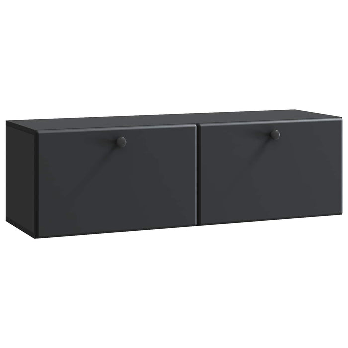 Oglindă TV montată pe perete Pe perete Negru 98 x 31 x 30 cm - WALTI WALTI