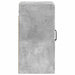 Dulap montat pe perete Gri Beton 59 x 31 x 60 cm Lemn prelucrat - WALTI WALTI