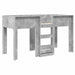 Pat Etajat pentru Copii Gri din beton 75 x 190 cm Lemn compozit - WALTI WALTI