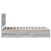 Cadru de pat cu sertar Gri Sonoma 120 x 190 cm Lemn Ingineresc - WALTI WALTI