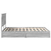 Cadru de pat cu sertar Gri Sonoma 150 x 200 cm Lemn compozit - WALTI WALTI