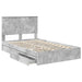 Cadru de pat cu sertar Gri din beton 135 x 190 cm Lemn compozit - WALTI WALTI