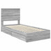 Cadru de pat cu sertar Gri Sonoma 100 x 200 cm Lemn compozit - WALTI WALTI
