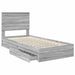 Cadru de pat cu sertar Gri Sonoma 100 x 200 cm Lemn compozit - WALTI WALTI