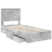 Cadru de pat cu sertar Gri din beton 75 x 190 cm Lemn compozit - WALTI WALTI