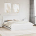 Cadru de pat cu sertar Alb 180 x 200 cm Lemn Ingineresc - WALTI WALTI
