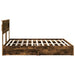 Pat cu storage Stejar fumuriu 180 x 200 cm Lemn compozit - WALTI WALTI