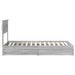 Cadru de pat cu sertar Gri Sonoma 100 x 200 cm Lemn compozit - WALTI WALTI