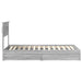 Cadru de pat cu sertar Gri Sonoma 75 x 190 cm Lemn compozit - WALTI WALTI