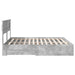 Cadru de pat cu sertar Gri din beton 180 x 200 cm Lemn compozit - WALTI WALTI