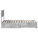 Cadru de pat cu sertar Gri din beton 100 x 200 cm Lemn compozit - WALTI WALTI