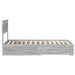 Cadru de pat cu sertar cu headboard cu depozitare Lemn compozit - WALTI WALTI