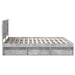 Cadru de pat cu headboard Beton 180 x 200 cm Lemn de pin masiv - WALTI WALTI