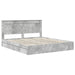 Cadru de pat cu sertar Gri din beton 200 x 200 cm Lemn compozit - WALTI WALTI