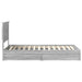 Cadru de pat cu sertar Gri Sonoma 100 x 200 cm Lemn compozit - WALTI WALTI