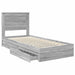 Cadru de pat cu sertar Gri Sonoma 75 x 190 cm Lemn compozit - WALTI WALTI