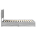 Cadru de pat cu sertar Gri Sonoma 75 x 190 cm Lemn compozit - WALTI WALTI