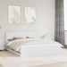 Cadru de pat cu sertar Alb 180 x 200 cm Lemn Ingineresc - WALTI WALTI