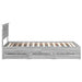 Cadru de pat cu sertar Gri Sonoma 100 x 200 cm Lemn Ingineresc - WALTI WALTI