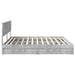 Pat cu storage Gri din beton 200 x 200 cm Lemn compozit - WALTI WALTI
