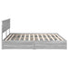 Pat cu storage cu sertar Gri Sonoma 200 x 200 cm Lemn compozit - WALTI WALTI