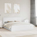 Pat cu storage cu headboard Alb 180 x 200 cm Lemn compozit - WALTI WALTI