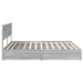 Pat cu storage cu sertar Gri Sonoma 180 x 200 cm Lemn compozit - WALTI WALTI