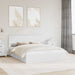 Pat cu storage cu headboard Alb 160 x 200 cm Lemn compozit - WALTI WALTI
