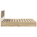 Pat cu storage Stejar Sonoma 140 x 200 cm Lemn compozit - WALTI WALTI