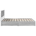 Pat cu storage cu sertar Gri Sonoma 140 x 200 cm Lemn compozit - WALTI WALTI