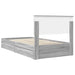 Pat cu storage cu sertar Gri Sonoma 100 x 200 cm Lemn compozit - WALTI WALTI