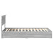 Pat cu storage cu sertar Gri Sonoma 100 x 200 cm Lemn compozit - WALTI WALTI