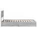 Pat cu storage cu sertar Gri Sonoma 90 x 200 cm Lemn compozit - WALTI WALTI