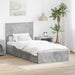 Pat cu storage Gri din beton 90 x 190 cm Lemn compozit - WALTI WALTI